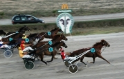 36th horse-racing meeting 2011 – 22nd July 